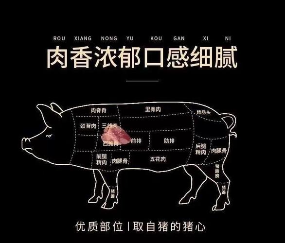 猪的护心肉是哪个部位的相关图片